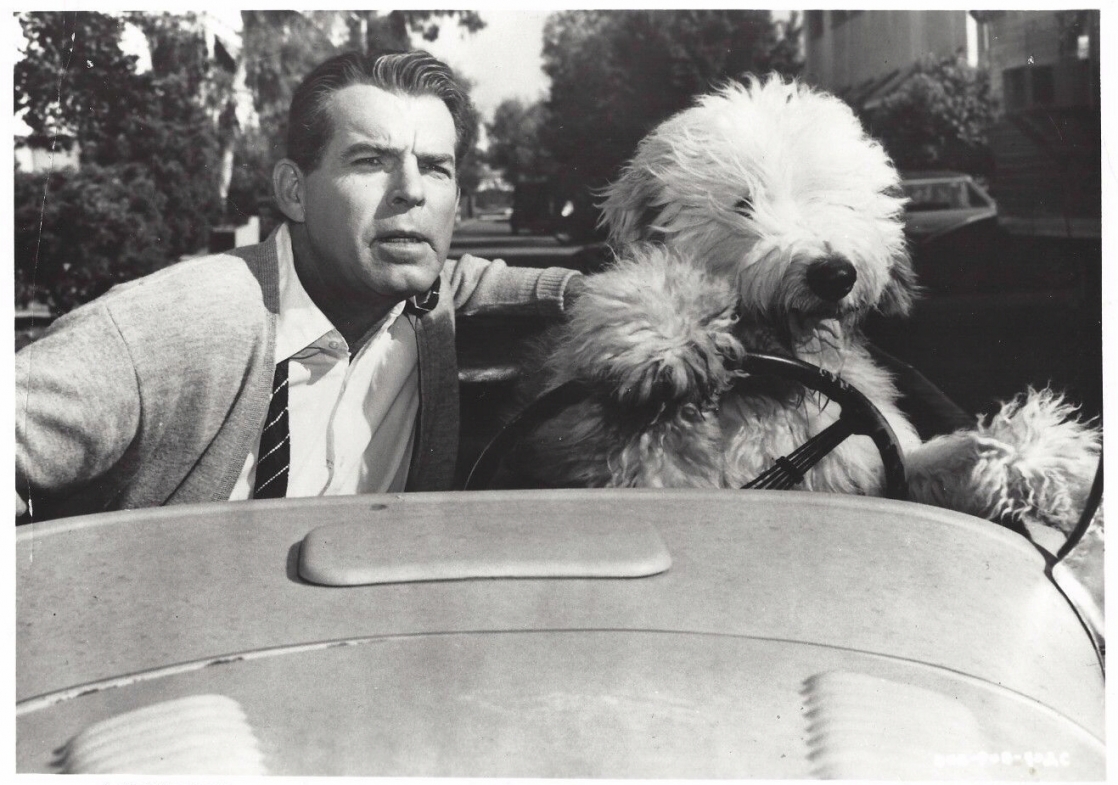 Fred MacMurray Fred MacMurray