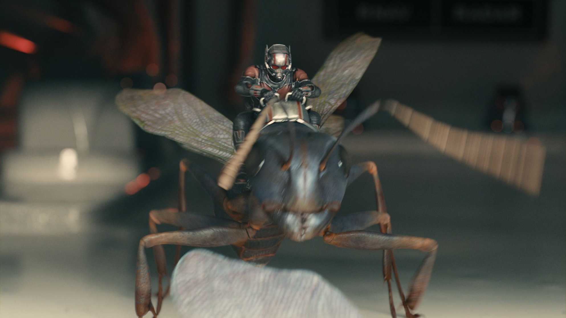 Ant-Man Ant-Man