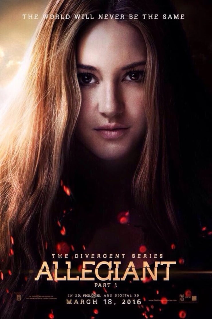 Picture of Allegiant