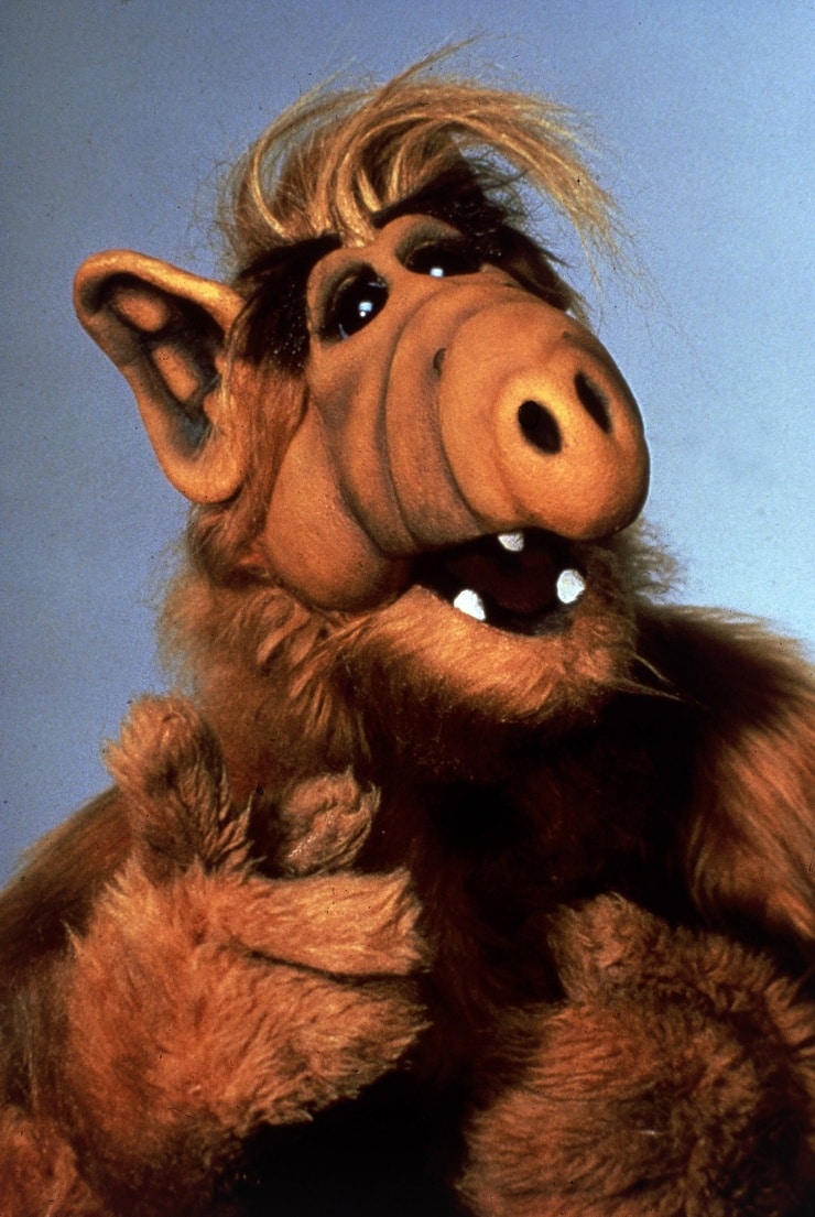 Picture Of Gordon Shumway Aka Alf