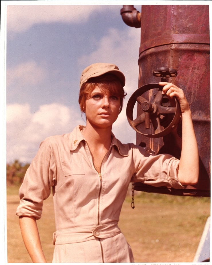 Picture Of Katharine Ross