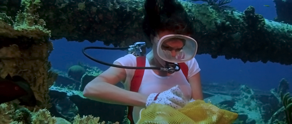 The Deep The Deep