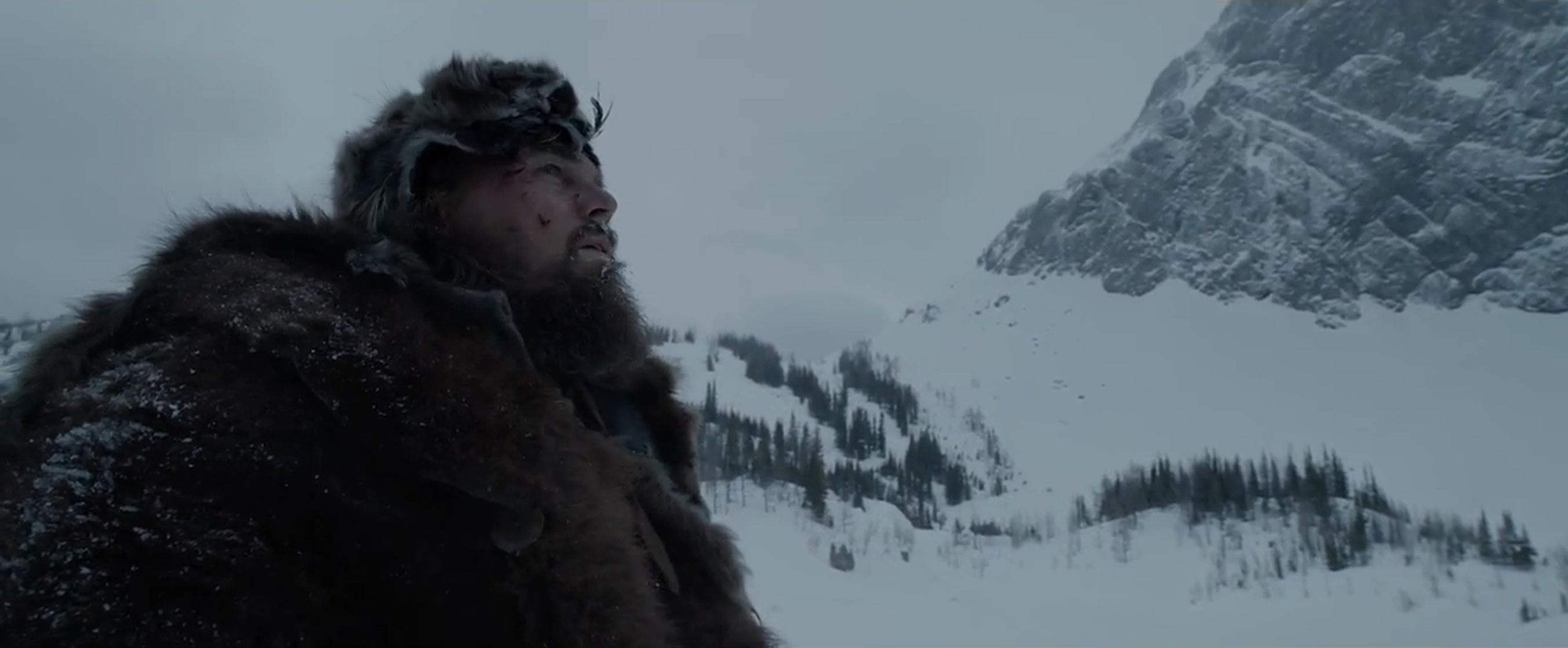 The Revenant The Revenant
