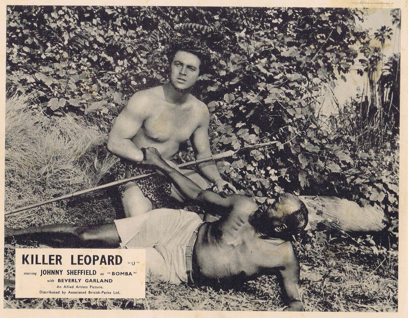 Killer Leopard
