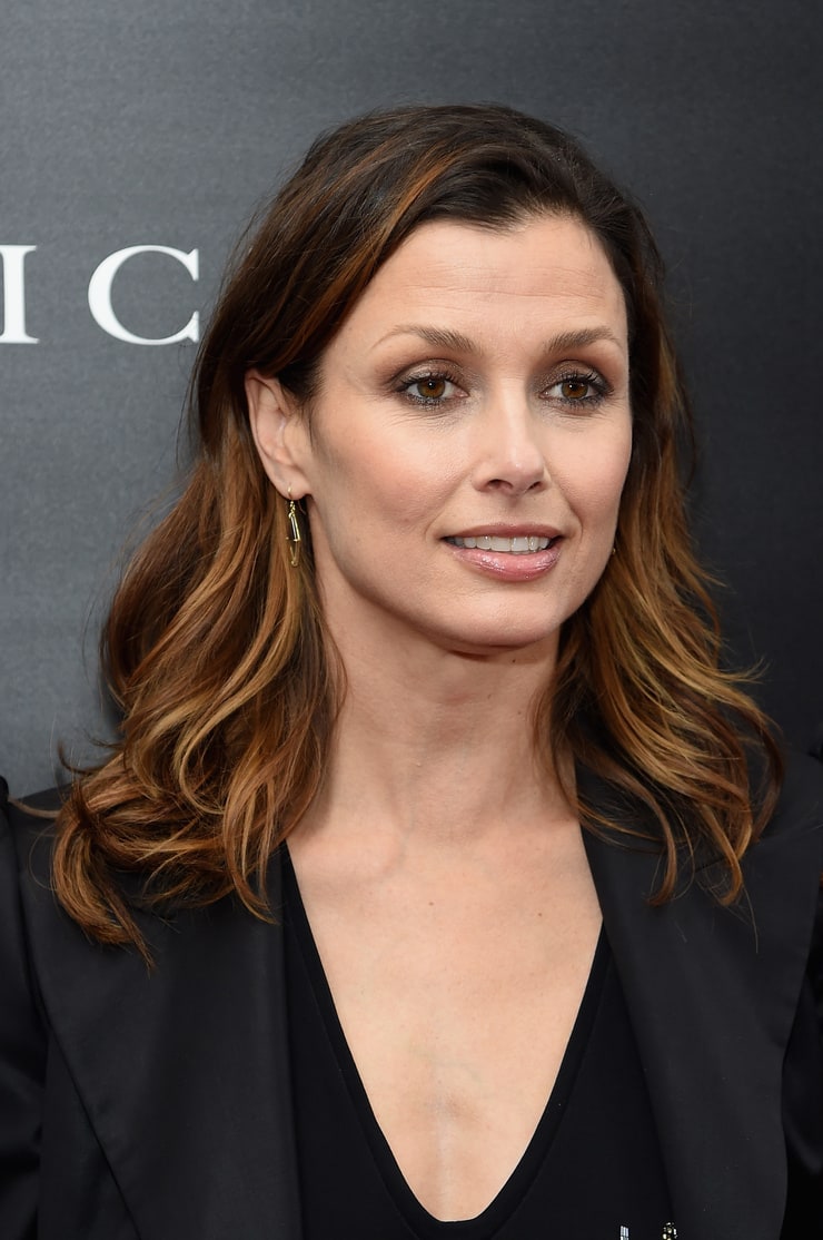 Bridget Moynahan Image