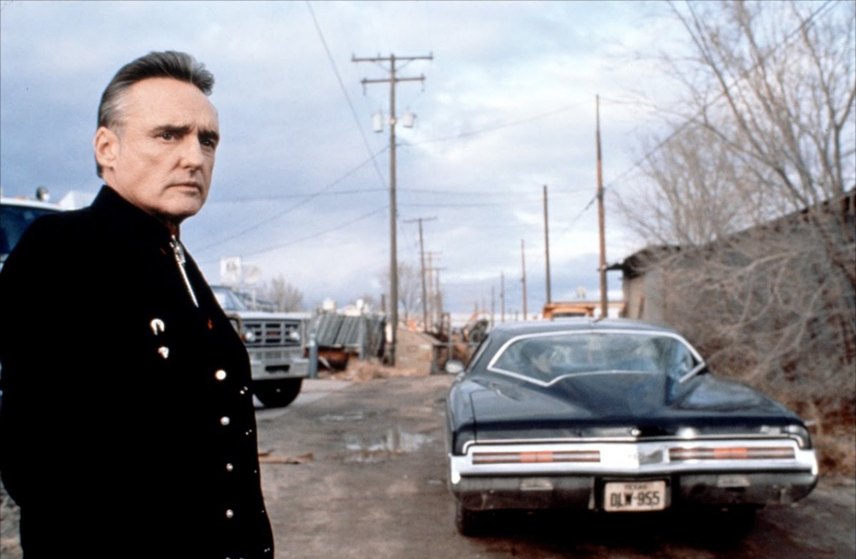 Red Rock West (1993)