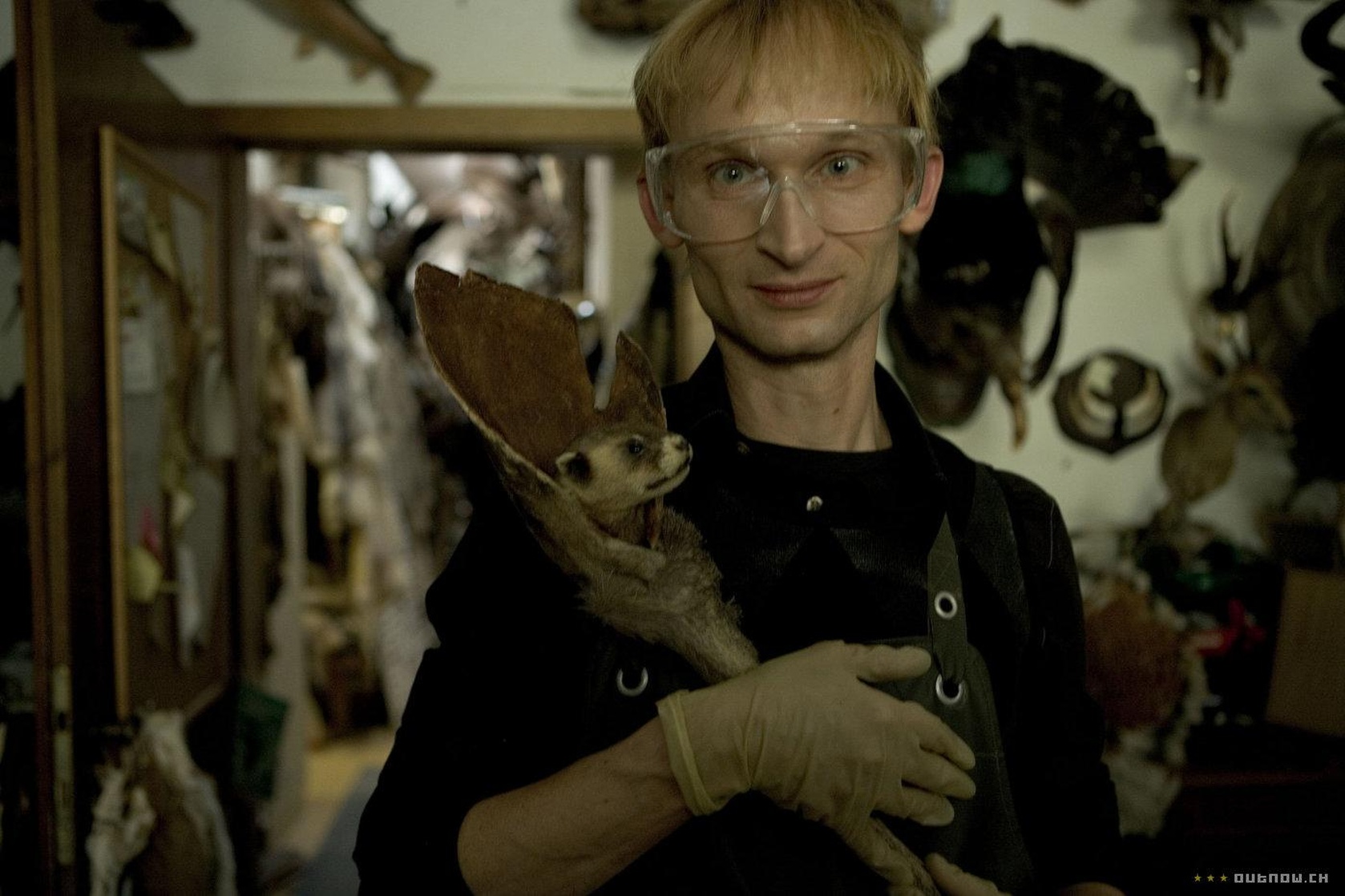 Taxidermia Taxidermia