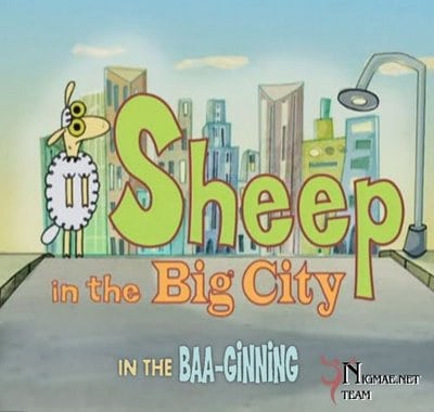 Picture of Sheep in the Big City