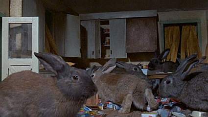 Picture of Night of the Lepus