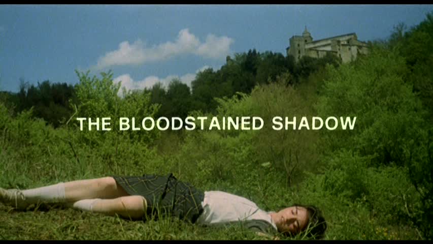 The Bloodstained Shadow The Bloodstained Shadow