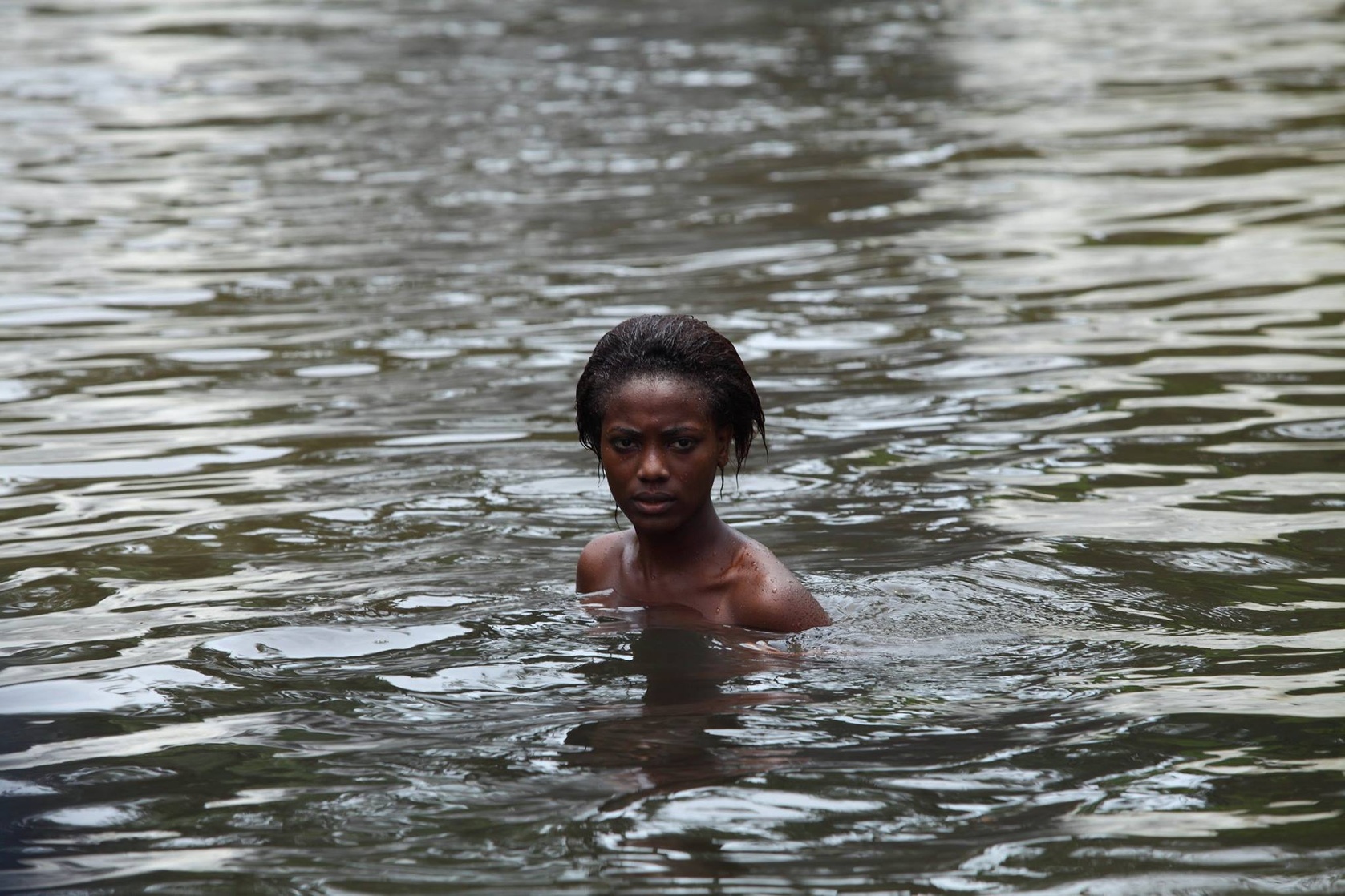 A Ilha dos Cães