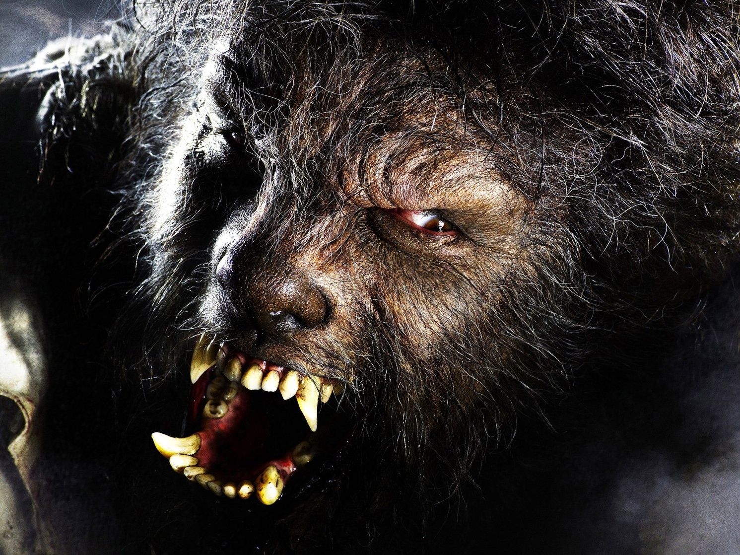 The Wolfman