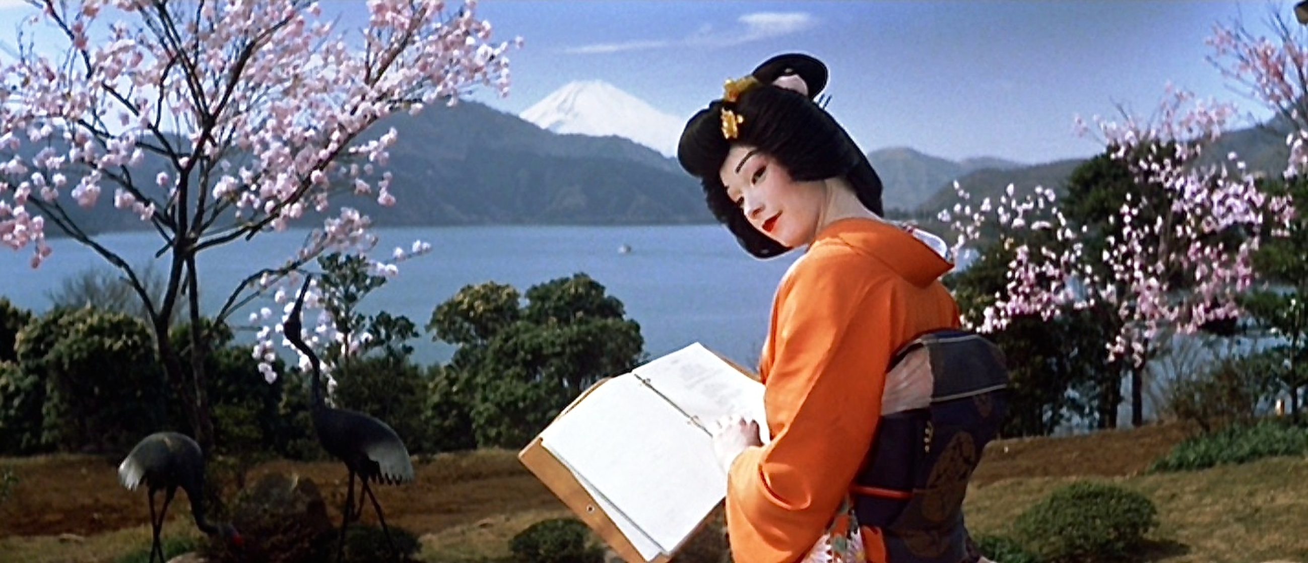 My Geisha