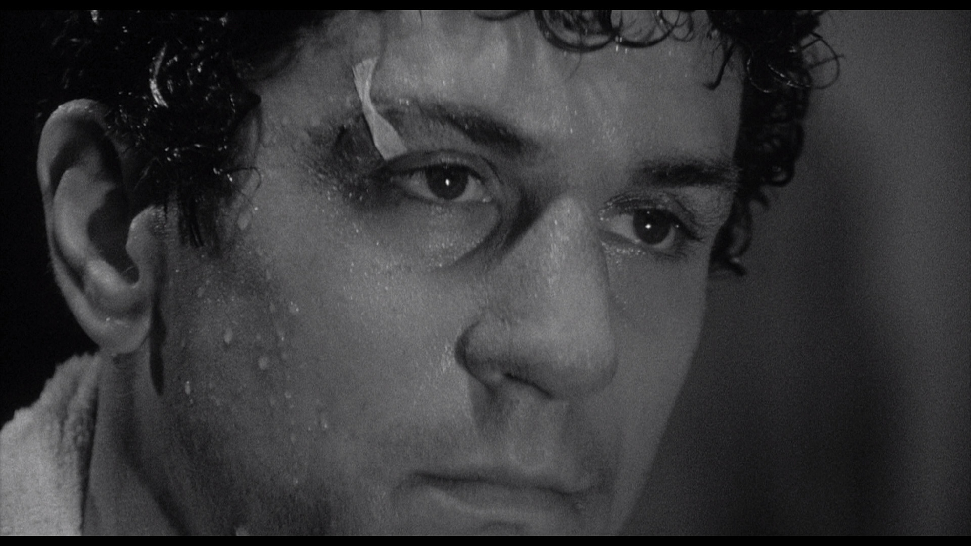 Raging Bull Raging Bull