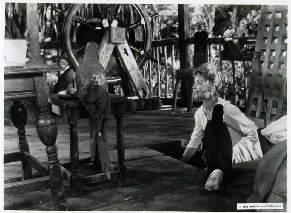 Swiss Family Robinson
