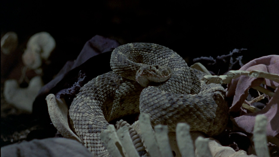 True Grit (1969) True Grit (1969)