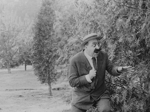 Picture of Getting Acquainted (1914)