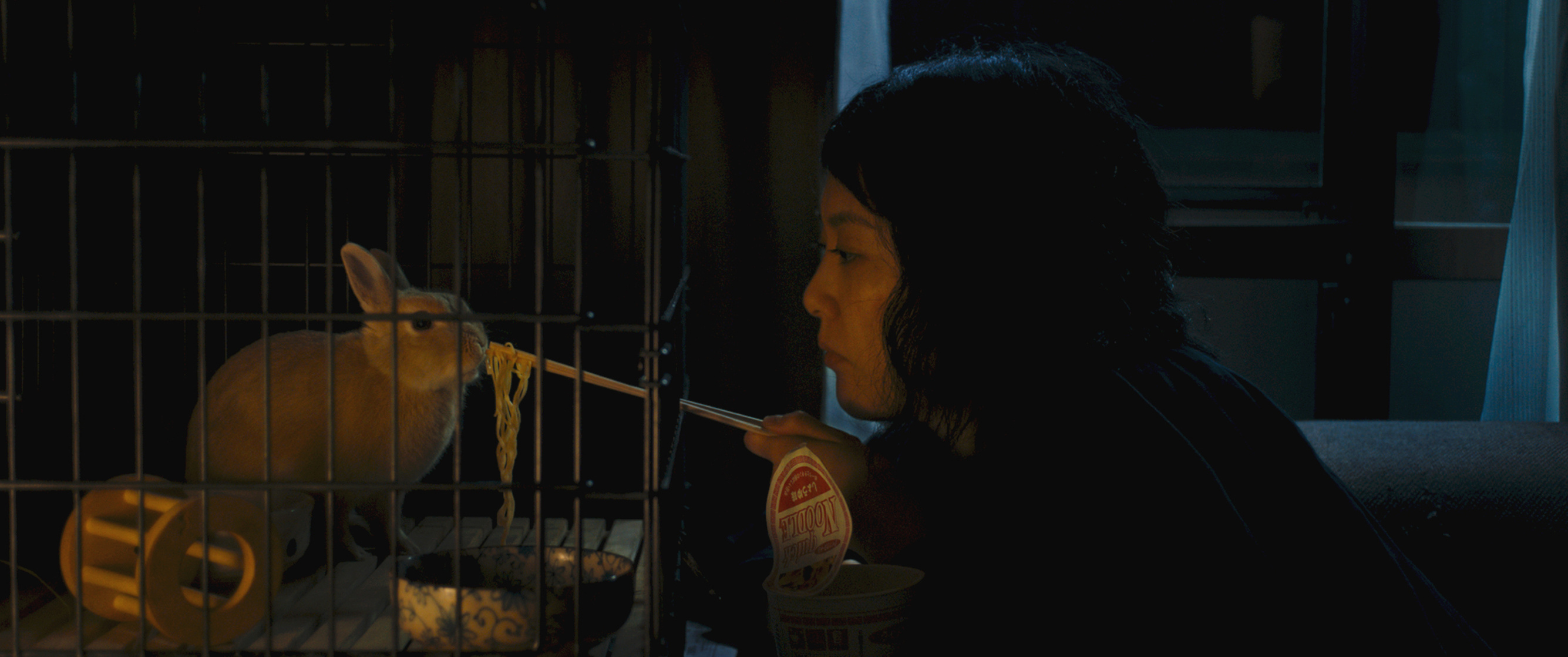Kumiko, The Treasure Hunter
