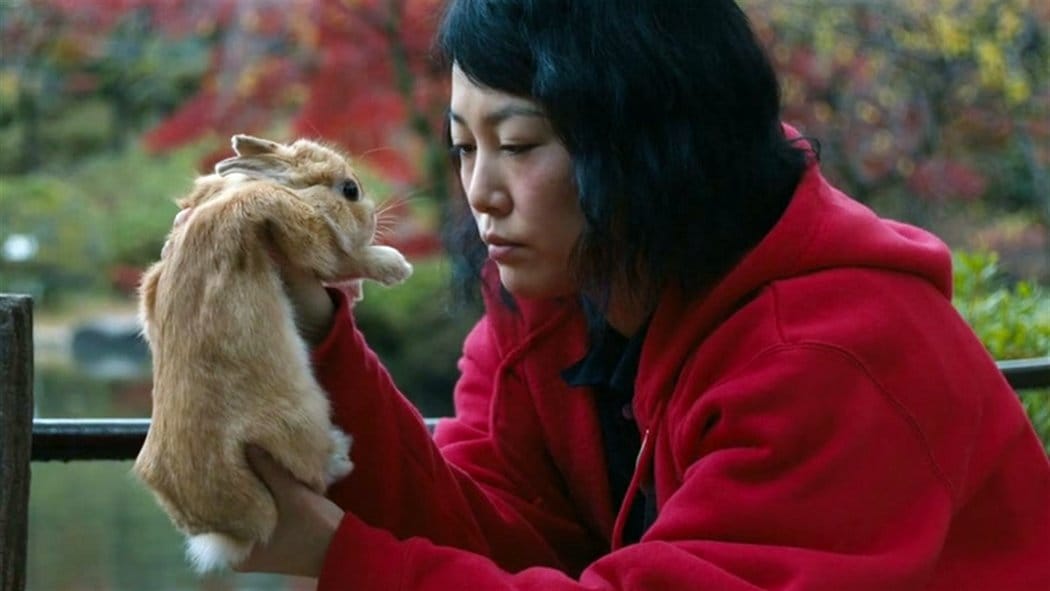 Kumiko, The Treasure Hunter Kumiko, The Treasure Hunter