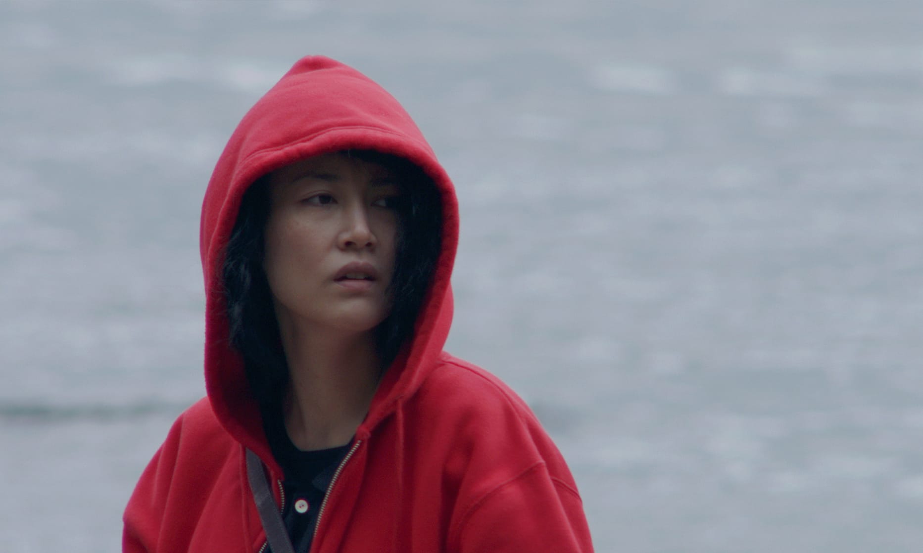 Kumiko, The Treasure Hunter