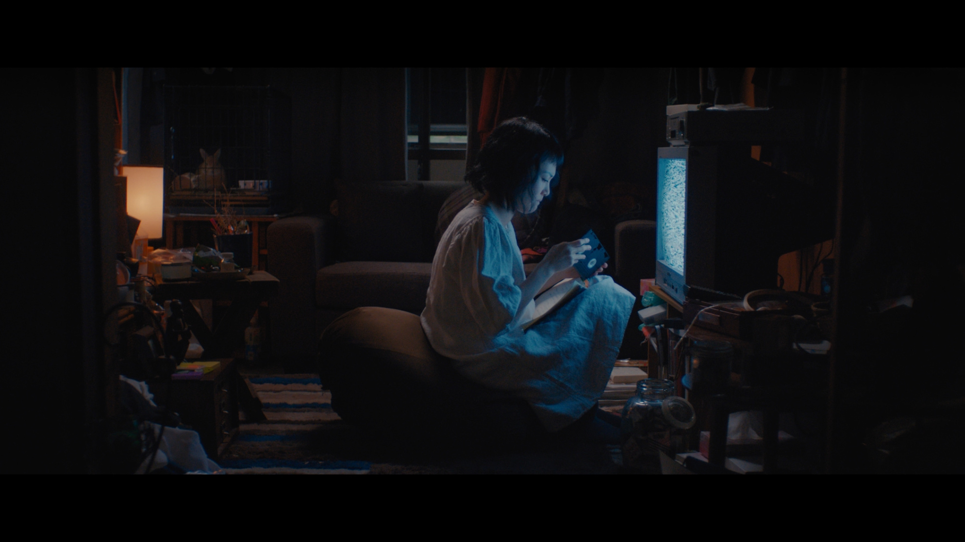 Kumiko, The Treasure Hunter Kumiko, The Treasure Hunter