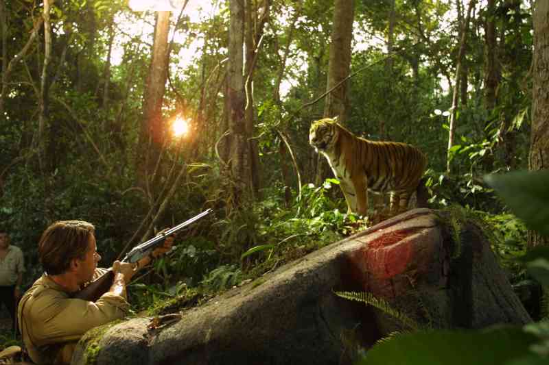 Kumal Kumal