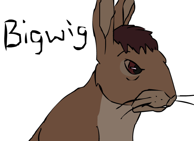 Bigwig