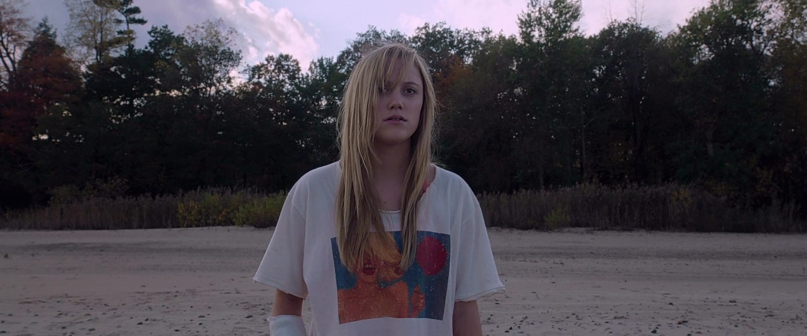 Picture of It Follows