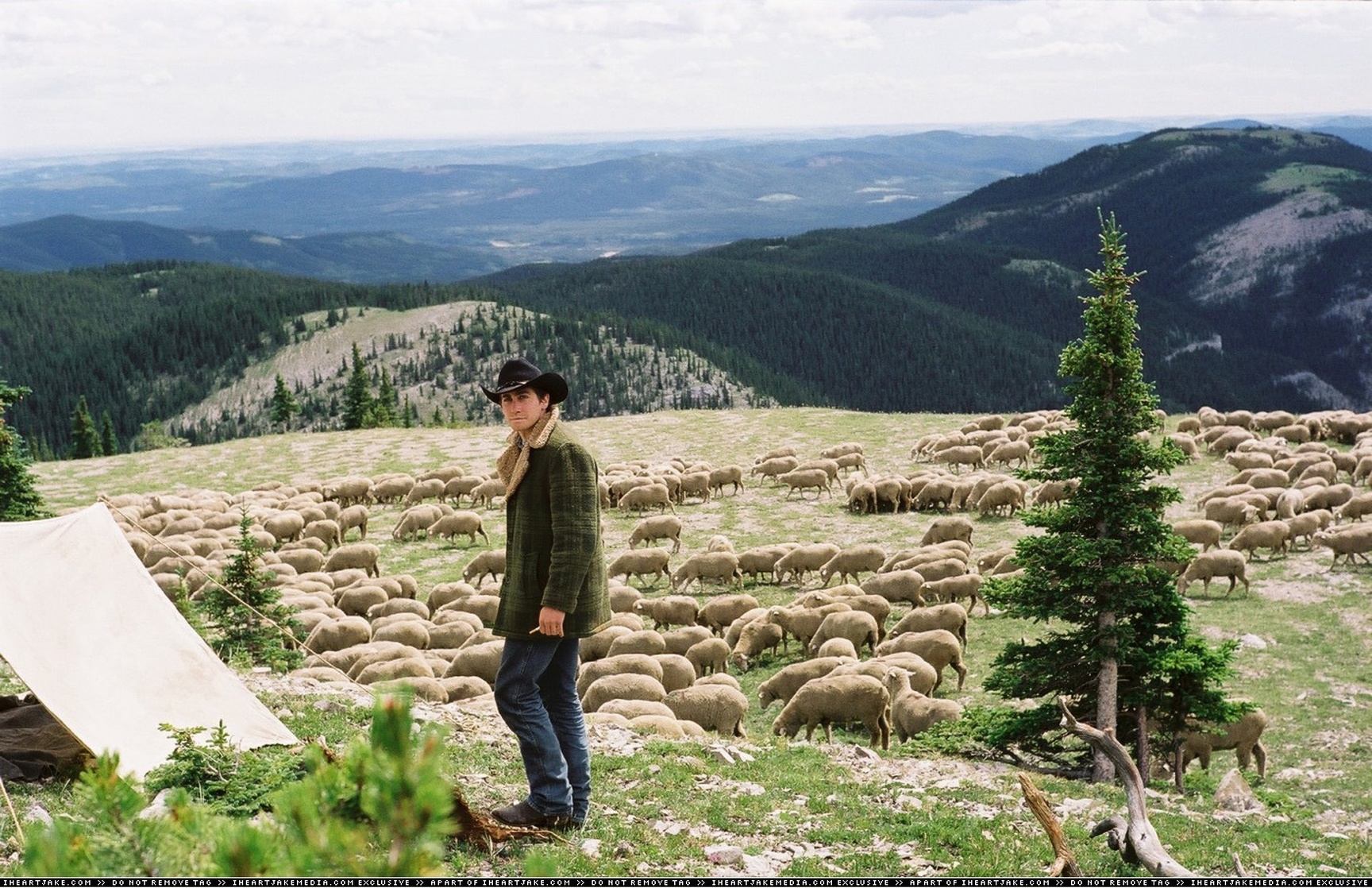 Brokeback Mountain