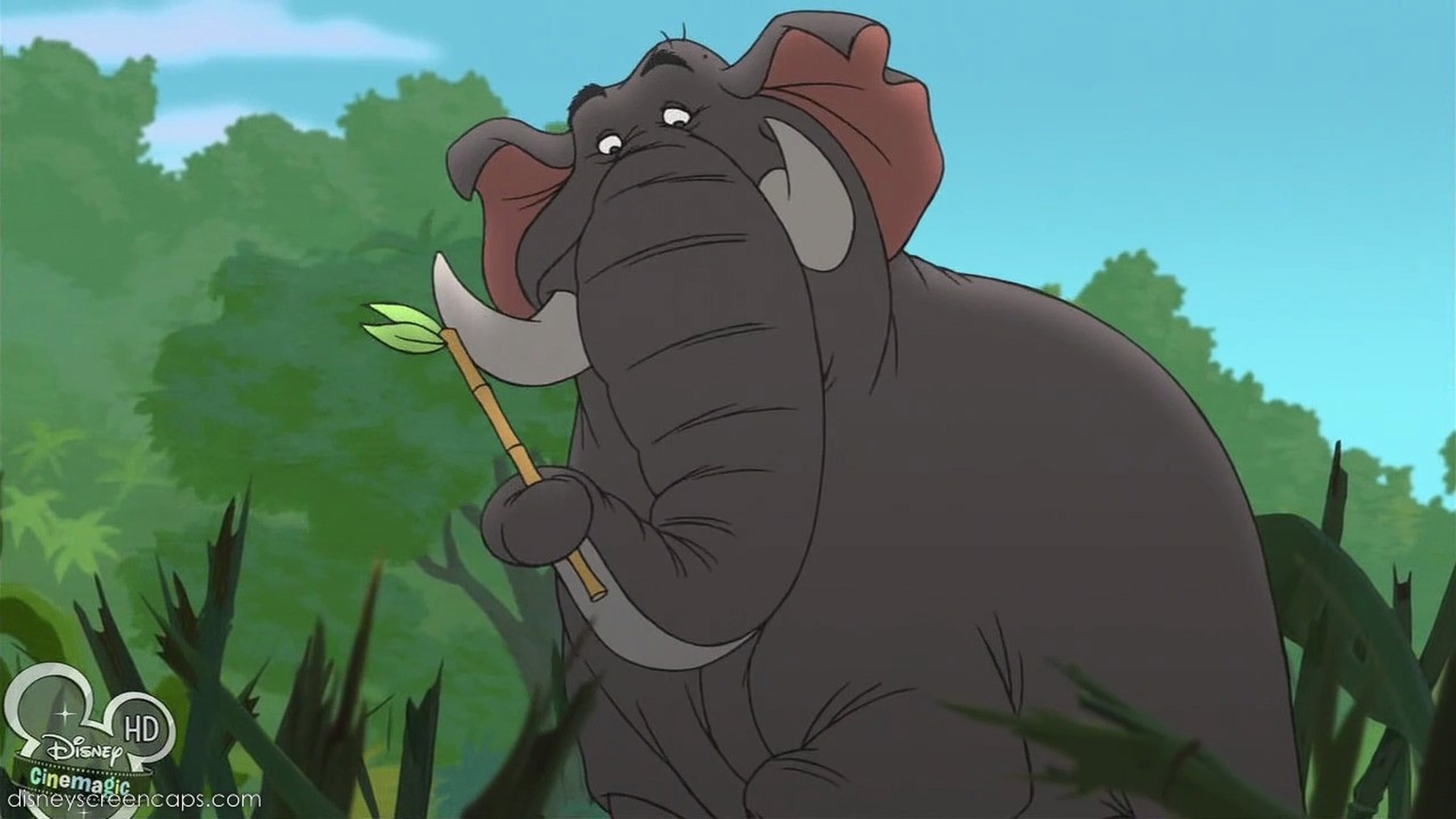 Colonel Hathi