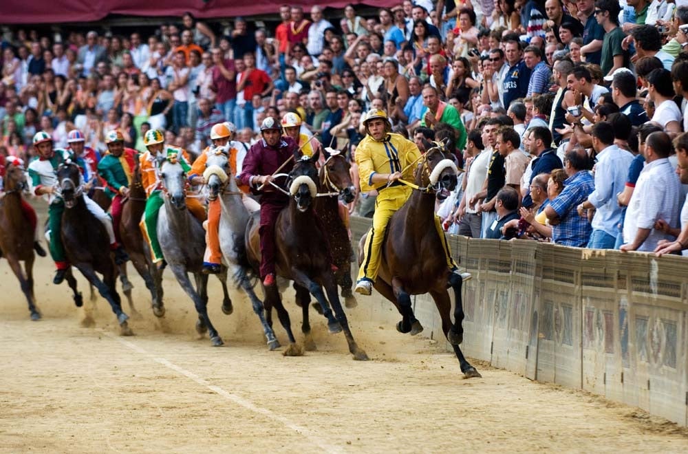 Picture of Il Palio di Siena