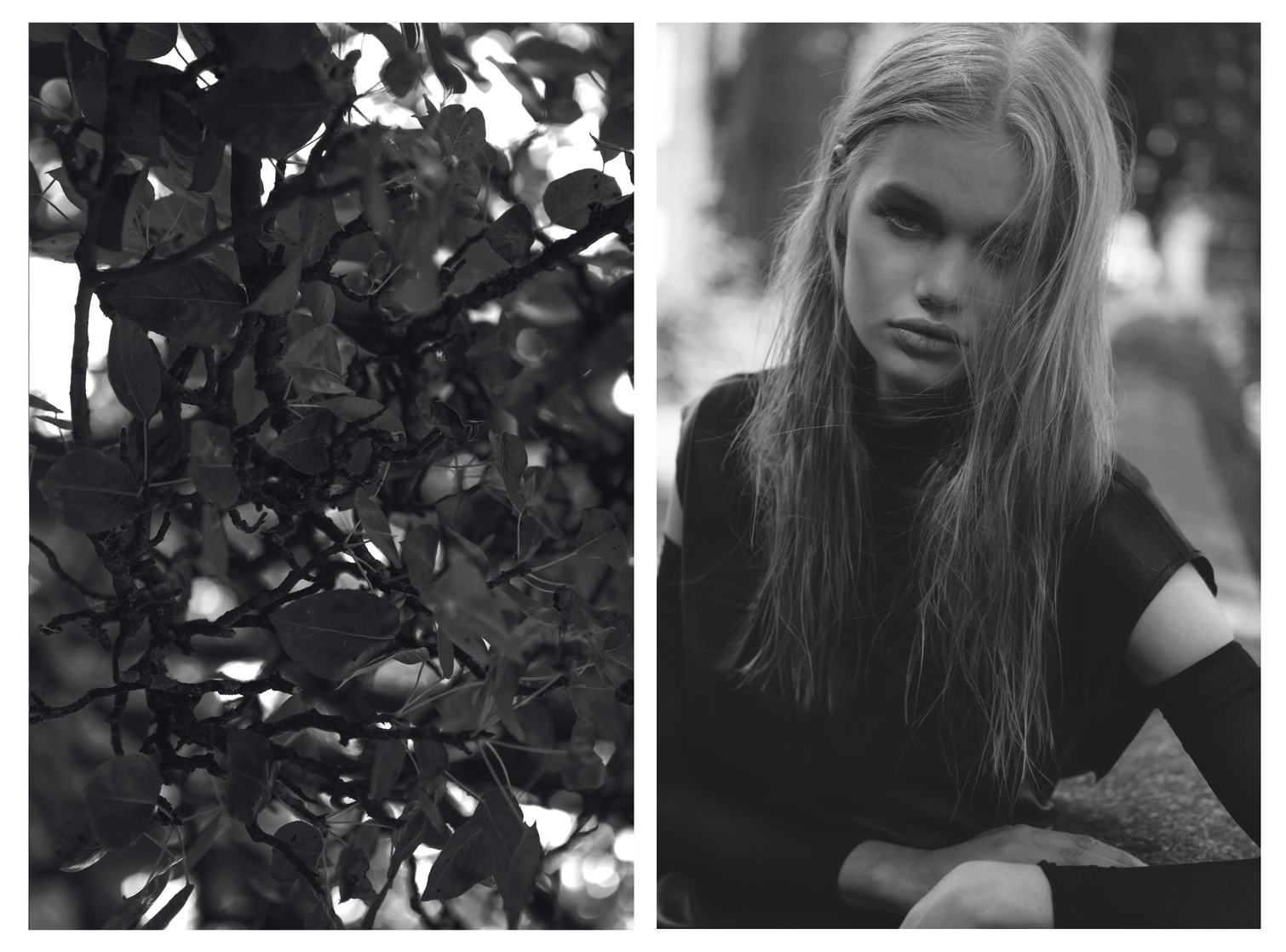 Ellie Leith Ellie Leith