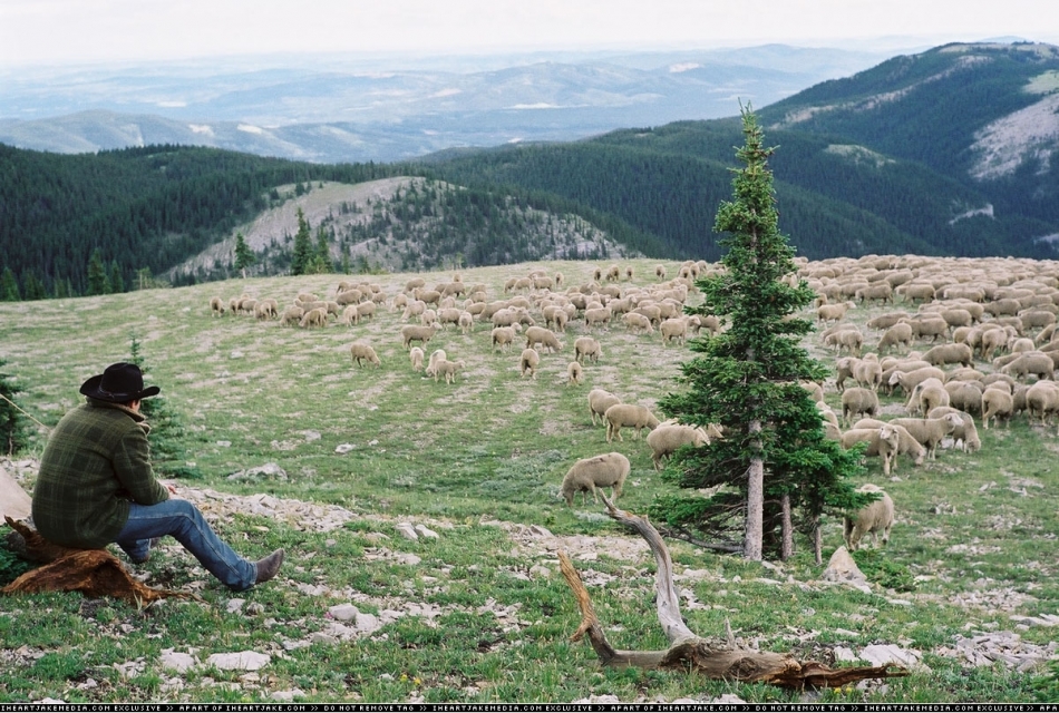 Brokeback Mountain Brokeback Mountain