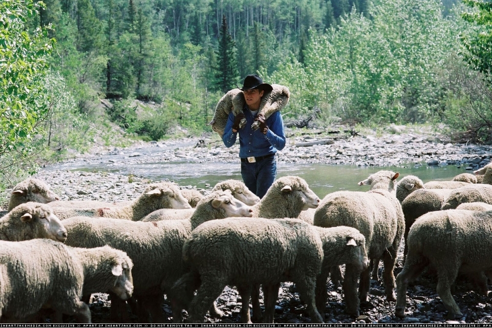 Brokeback Mountain