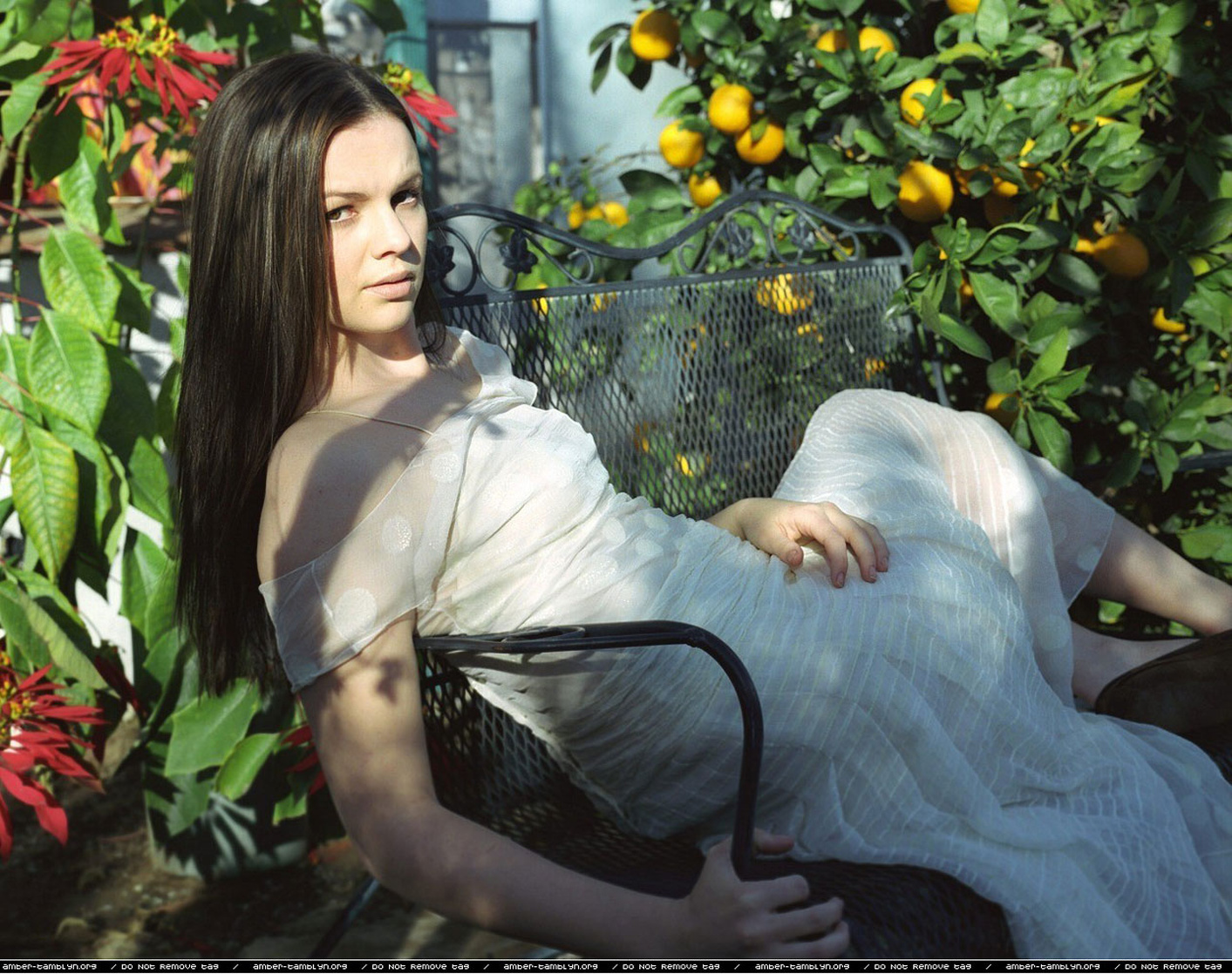 Amber Tamblyn Amber Tamblyn
