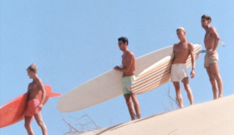 The Endless Summer (1966) The Endless Summer (1966)