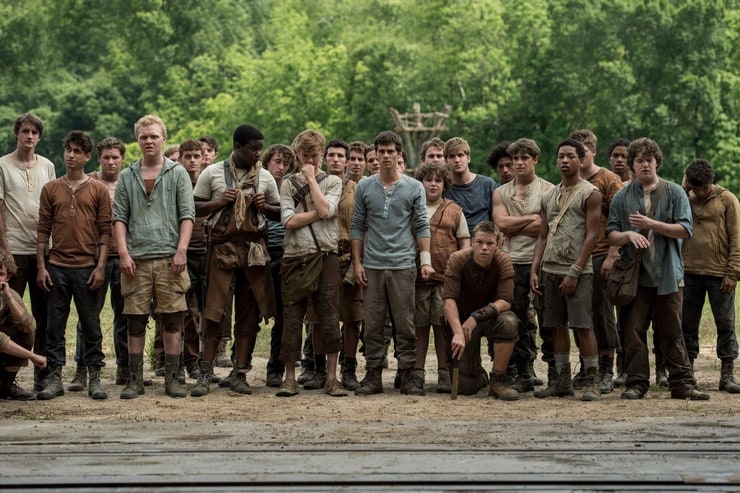 Picture of The Maze Runner.
