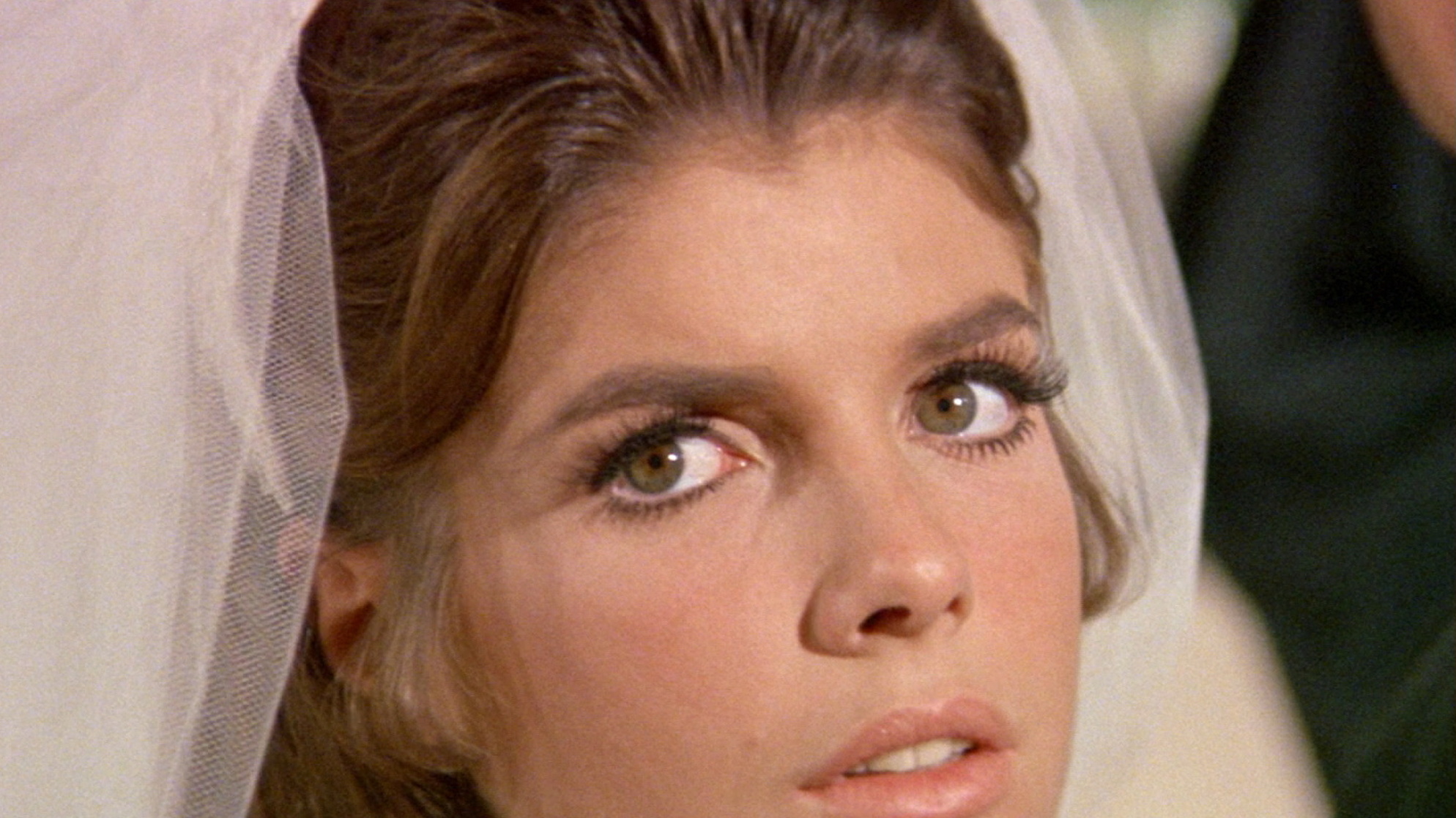 The Graduate The Graduate