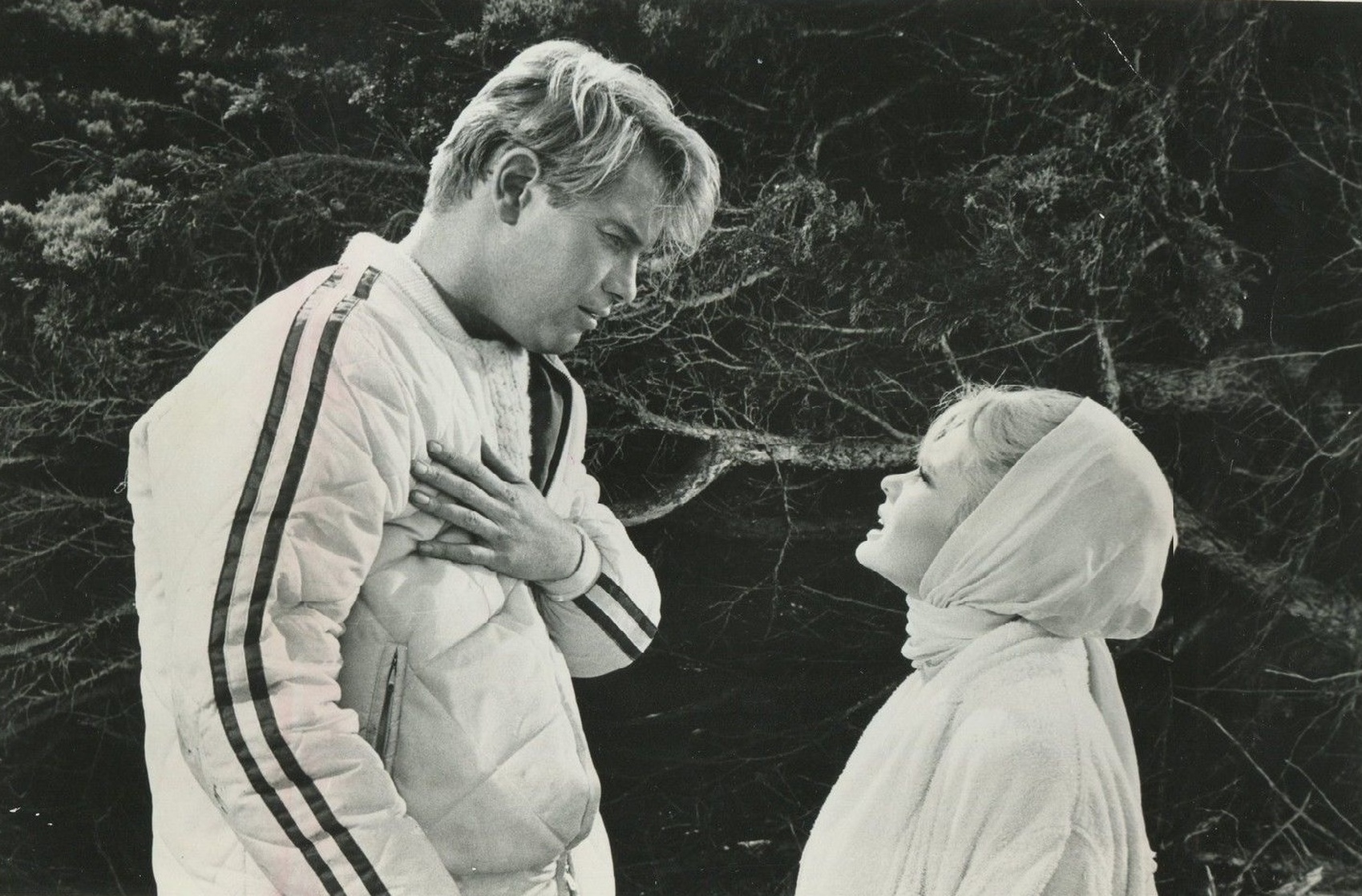 Joey Heatherton Joey Heatherton