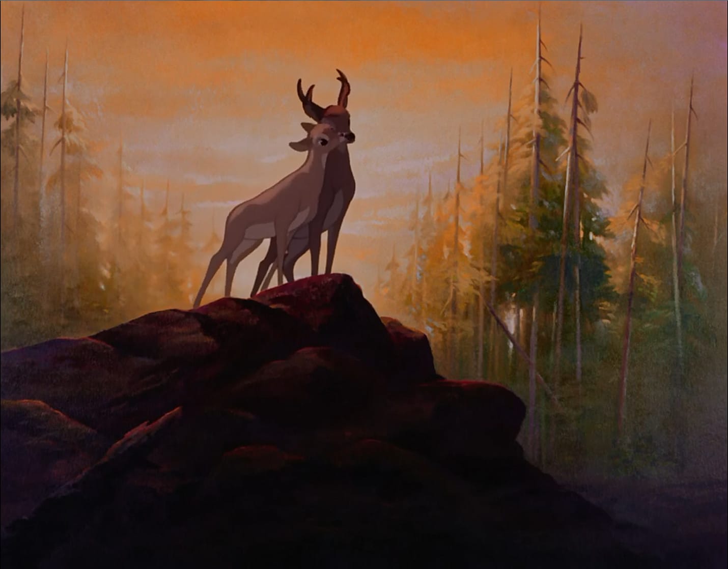 Bambi Bambi