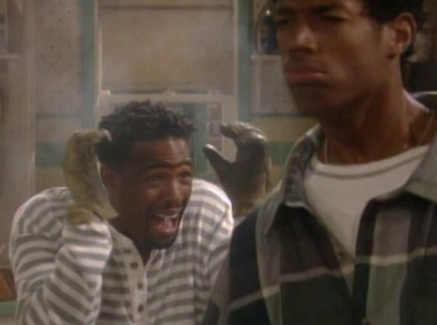 The Wayans Bros.                                  (1995-1999)