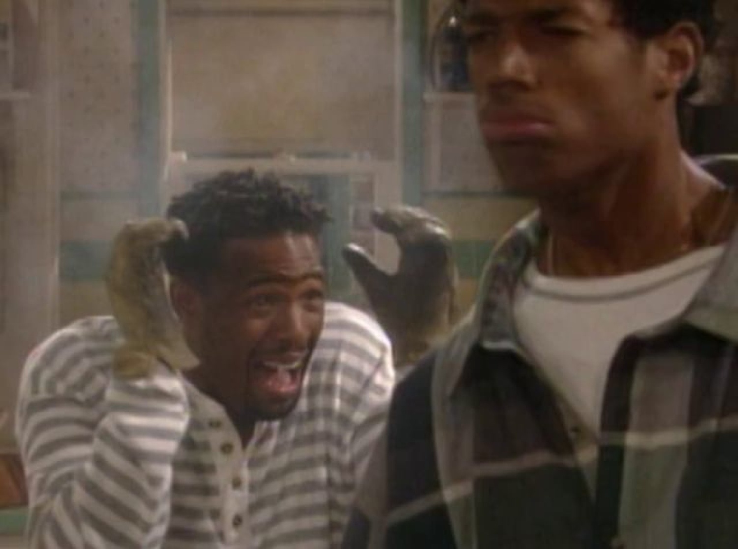 Picture of The Wayans Bros. (19951999)