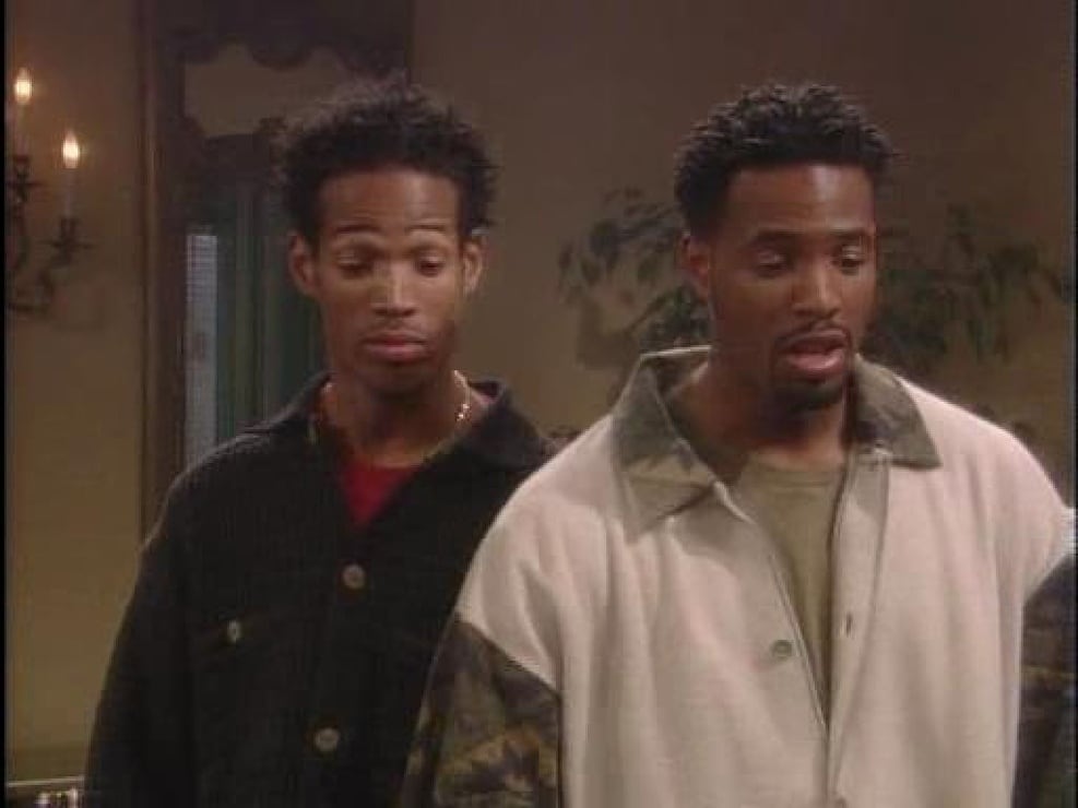 Picture of The Wayans Bros. (1995-1999)