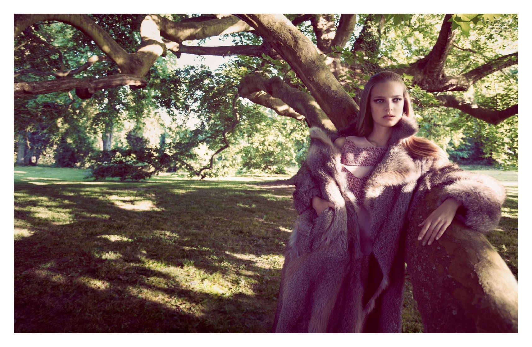 Ine Neefs
