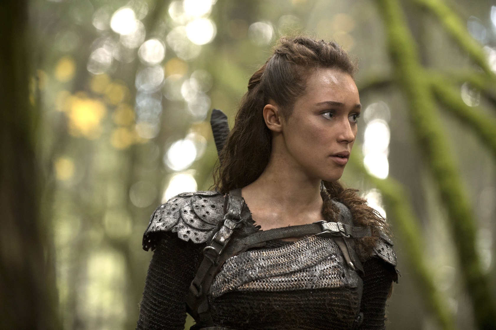 The 100 The 100