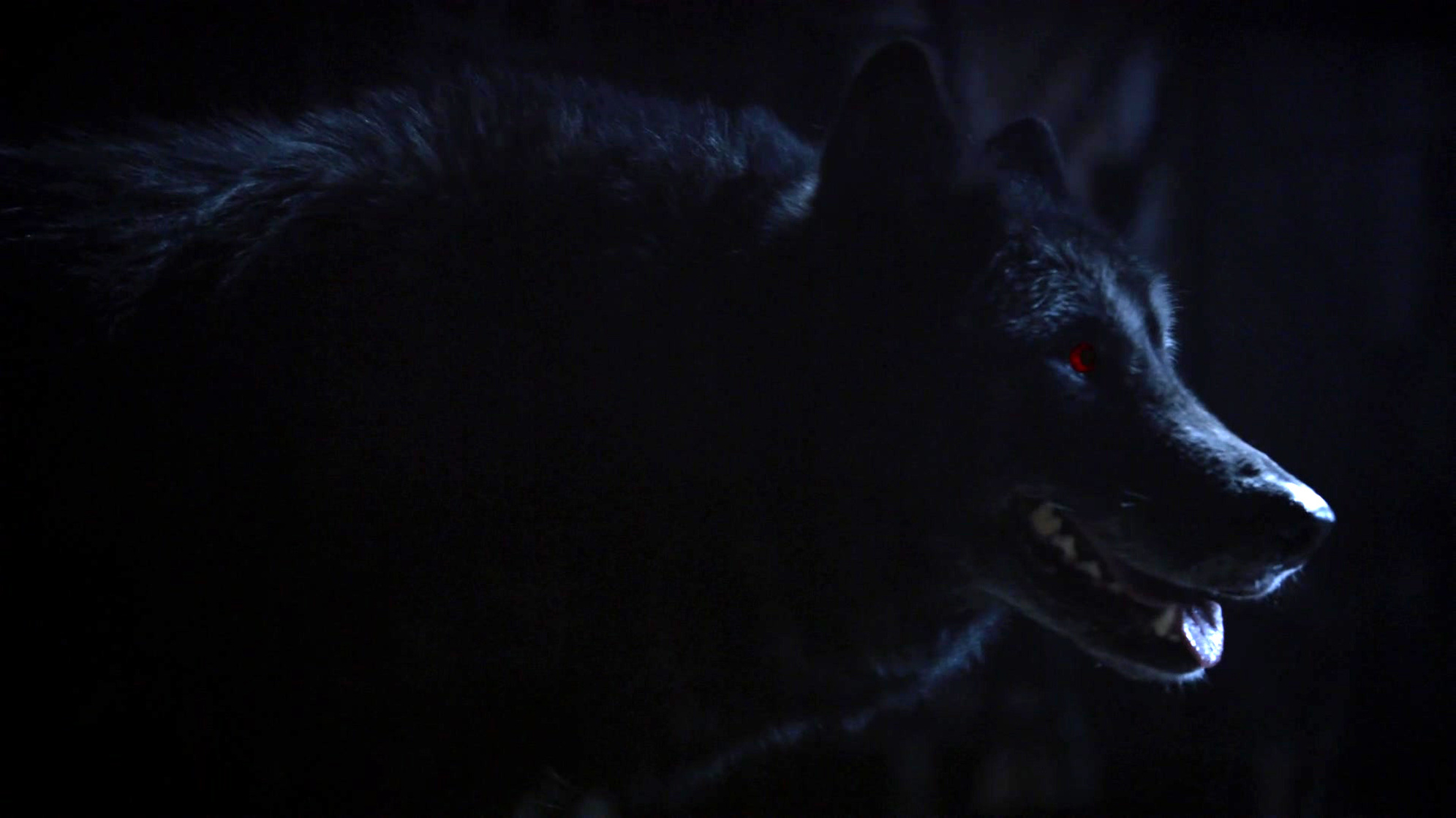 Teen Wolf