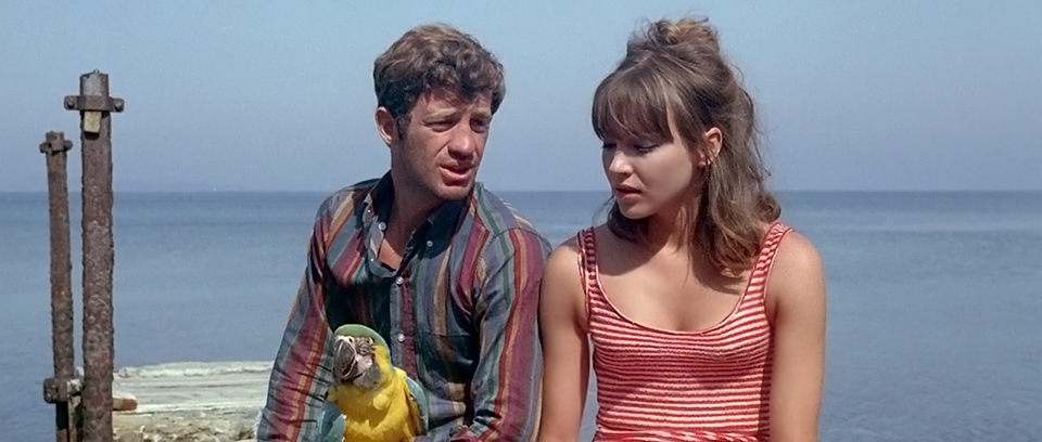 Pierrot le Fou Pierrot le Fou