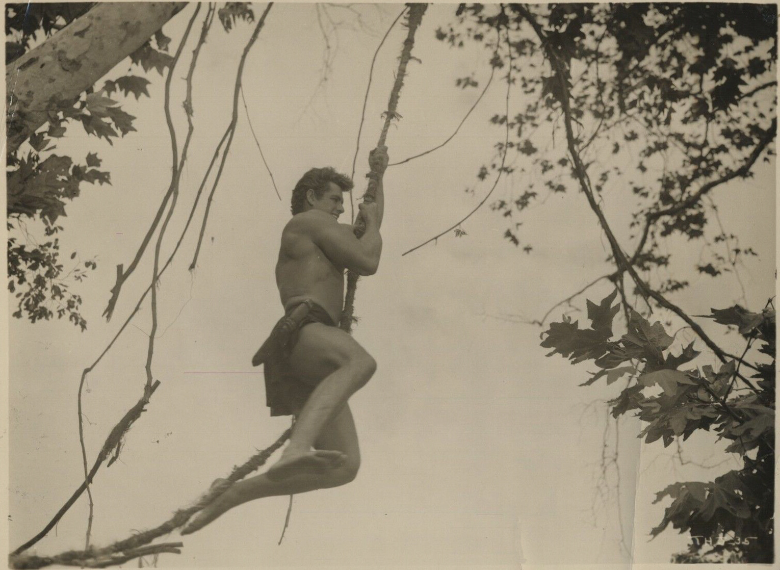 Tarzan's Hidden Jungle Tarzan's Hidden Jungle