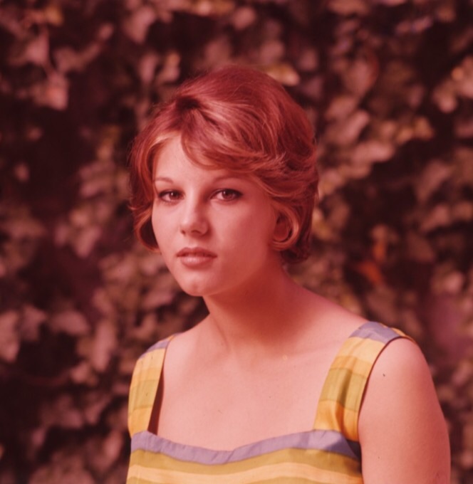 Picture of Stefania Sandrelli