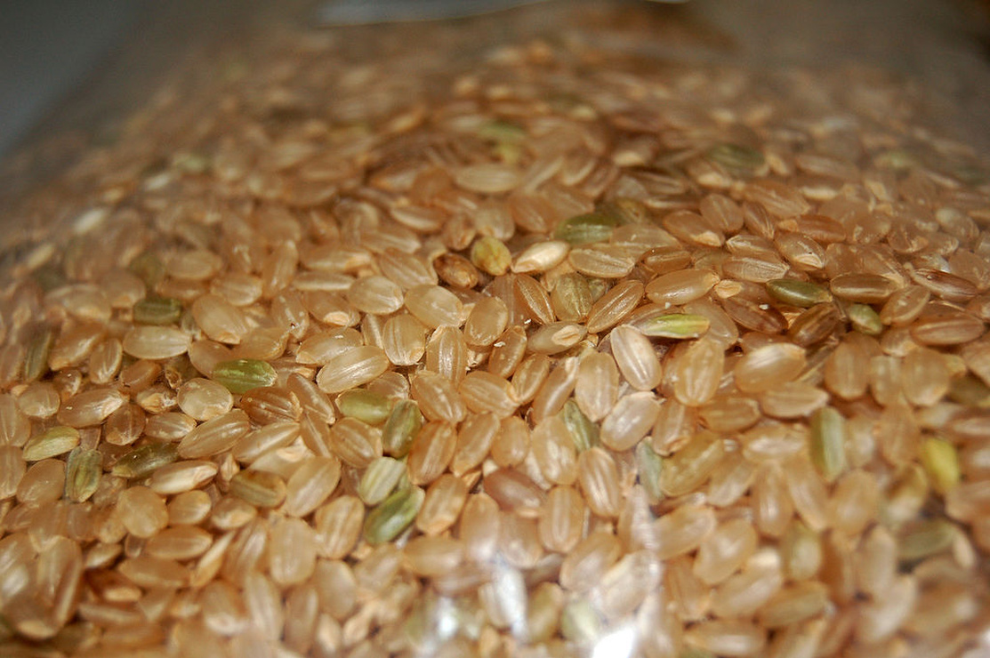 Picture of Brown Rice (Hulled Rice, Unmilled Rice)
